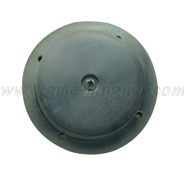 Magnetic Speaker Driver