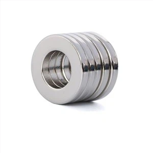 Imanes de anillo de tierras raras